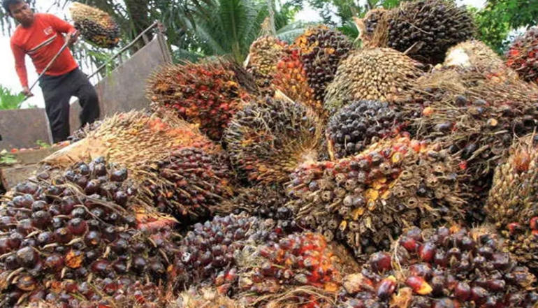 Indonesian Organic Products Set to Expand Footprint in Promising European Markets