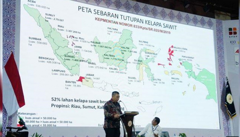 BPDP Transformation: Three Strategic Commodities Integrated into National Plantation Roadmap