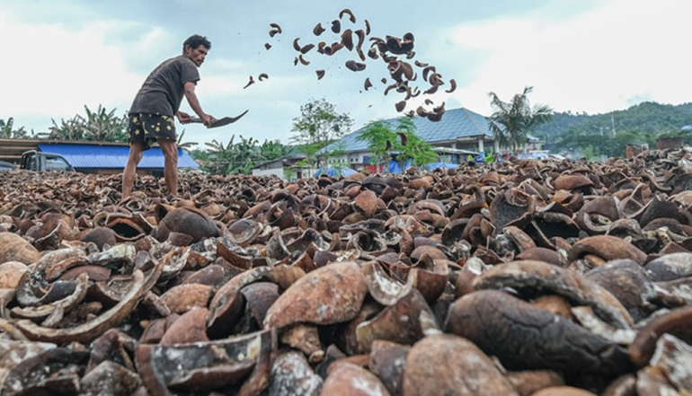 Southeast Sulawesi&rsquo;s Non-Mining Exports Surge to IDR 35 Billion in Early 2026