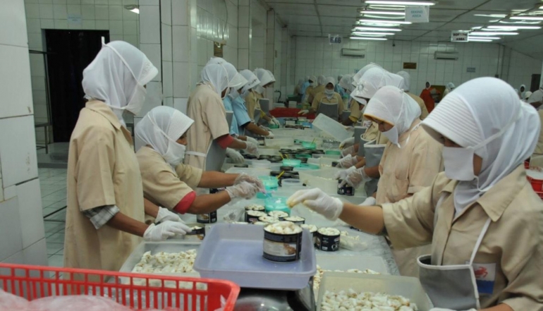 Indonesia&rsquo;s Fishery Exports Hit USD 6.27 Billion in 2025, Signaling Higher Global Value