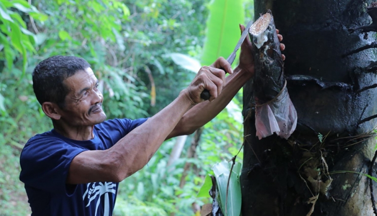 Pacitan&rsquo;s Organic Palm Sugar Secures Global Footprint in Europe and Australia