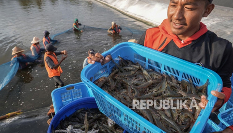 Indonesia&rsquo;s Fishery Exports Surge to IDR 105 Trillion in 2025, United States Remains Top Destination