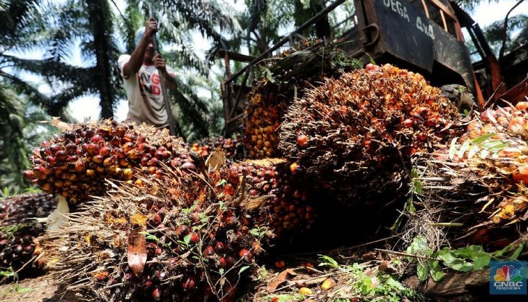 Processing Industry Anchors Indonesia's Export Growth in Early 2026