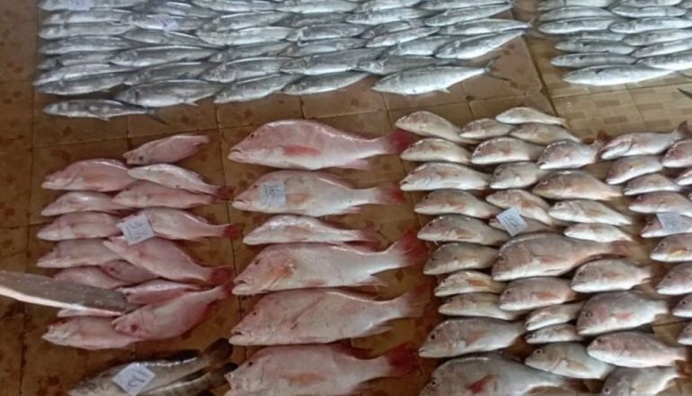 Indramayu Anchors West Java&rsquo;s Fishery Sector with Significant Production Growth