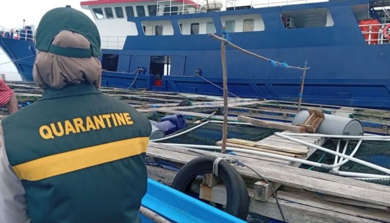 Maluku Strengthens Maritime Trade with 1.8-Ton Fishery Export to Japan