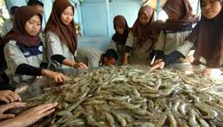 Surging Demand for Indonesian Seafood in Saudi Arabia Sparks Calls to Accelerate Exports