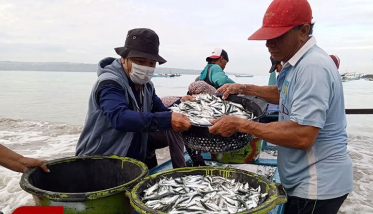 Indonesia Tightens Fish Import Requirements, Foreign Companies Must Obtain Official Registration