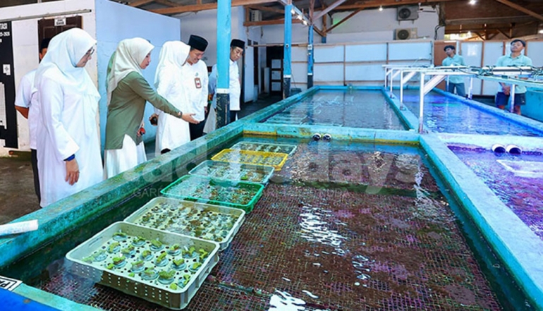 Banyuwangi&rsquo;s Ornamental Corals Penetrate Three Continents with Exports Reaching $6,000 Per Shipment